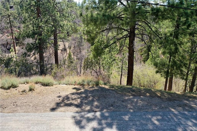 0 Villa Grove Ave, Big Bear City, CA 92314 - photo 5