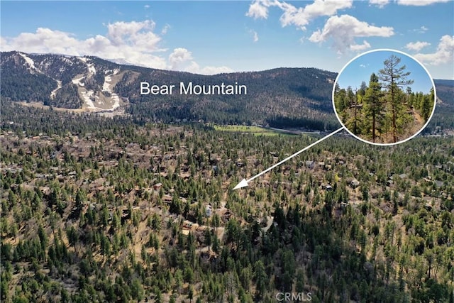 0 Villa Grove Ave, Big Bear City, CA 92314 - photo 10