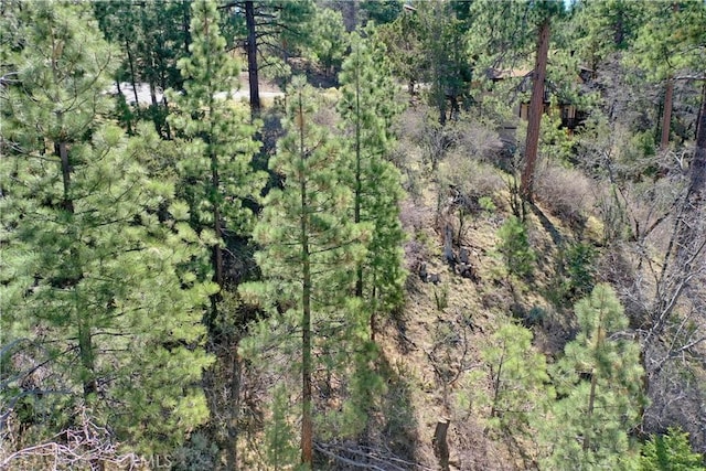 0 Villa Grove Ave, Big Bear City, CA 92314 - photo 22