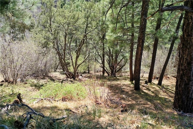 0 Villa Grove Ave, Big Bear City, CA 92314 - photo 25