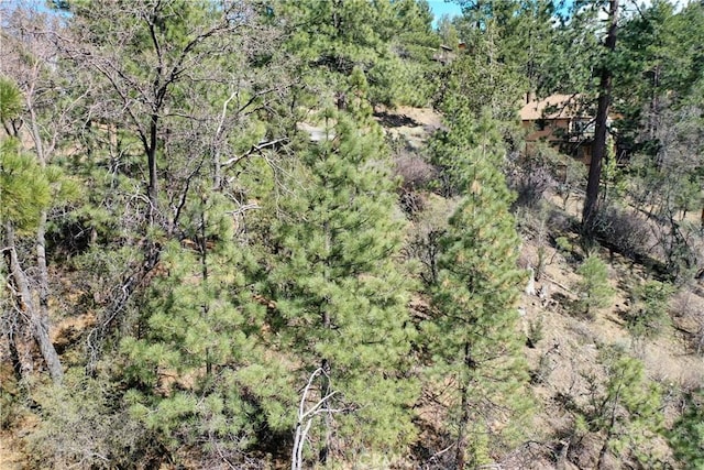 0 Villa Grove Ave, Big Bear City, CA 92314 - photo 28