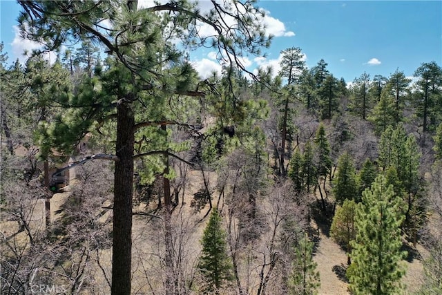 0 Villa Grove Ave, Big Bear City, CA 92314 - photo 29