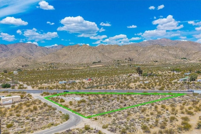 50549 Palo Verde Rd, Morongo Valley, CA 92256 - photo 4