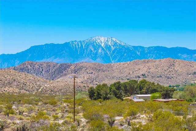 50549 Palo Verde Rd, Morongo Valley, CA 92256 - photo 2