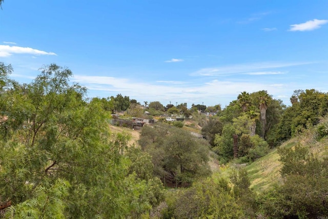 6552 Mallard St, San Diego, CA 92114 - view of undeveloped land