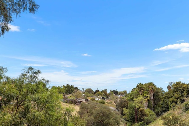 6552 Mallard St, San Diego, CA 92114 - view of nature