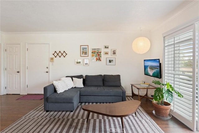 living area with baseboards, ornamental molding, and wood finished floors
