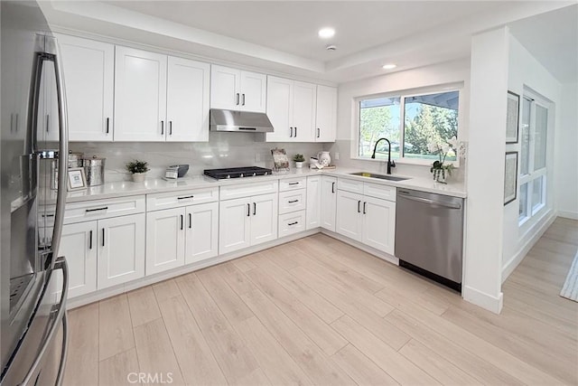 kitchen featuring stainless steel appliances, a sink, under cabinet range hood, light wood-style floors, and tasteful backsplash