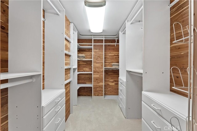 walk in closet with light carpet