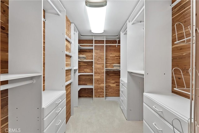 35451 Camino Capistrano, Dana Point, CA 92624 - walk in closet featuring light carpet
