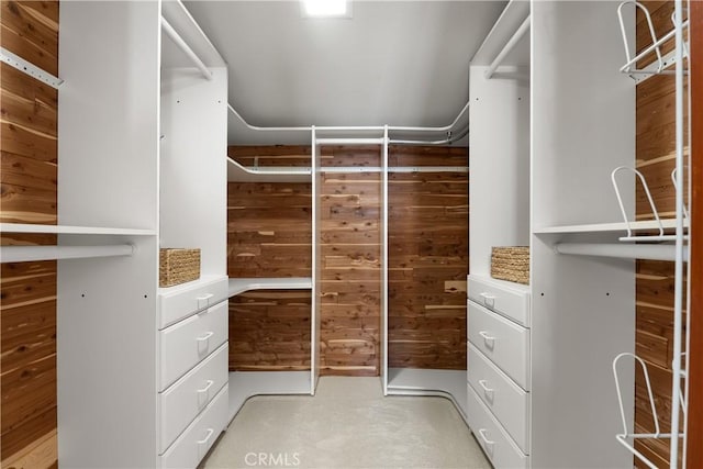 walk in closet with light colored carpet