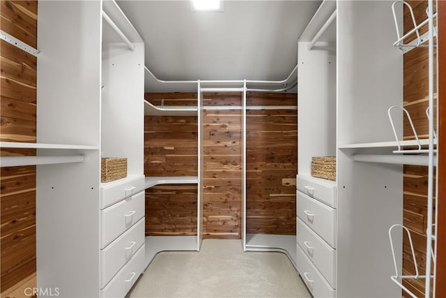 35451 Camino Capistrano, Dana Point, CA 92624 - spacious closet with light carpet