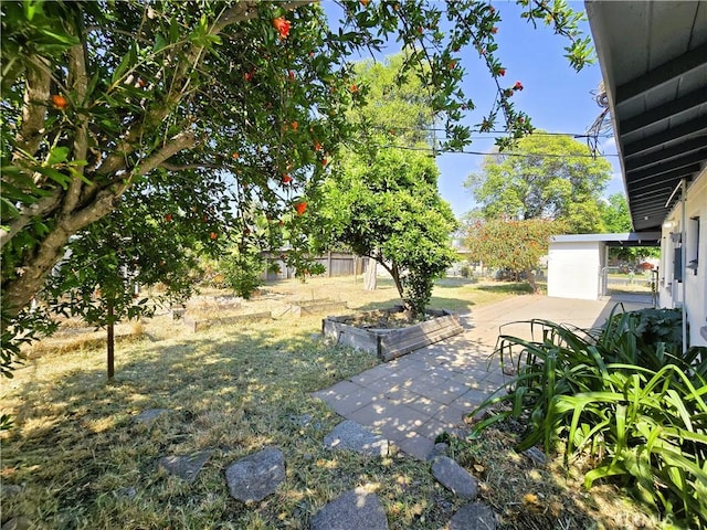 view of yard with a patio and fence