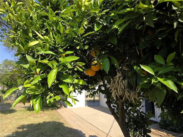 view of details