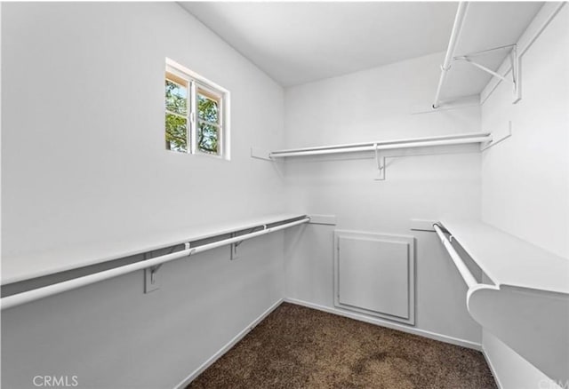 walk in closet featuring dark colored carpet