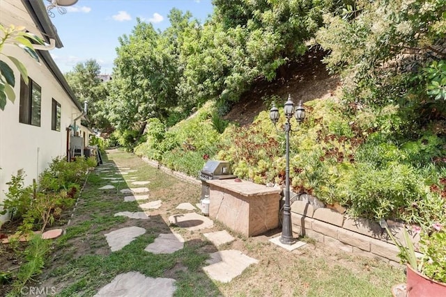 17861 Cathedral Pl, Encino, CA 91316 - view of yard