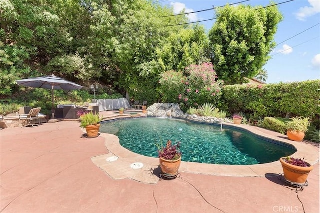 17861 Cathedral Pl, Encino, CA 91316 - view of pool featuring a patio