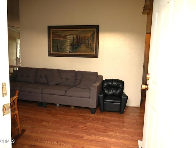 living room with wood finished floors