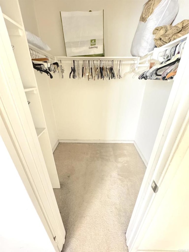walk in closet with light carpet