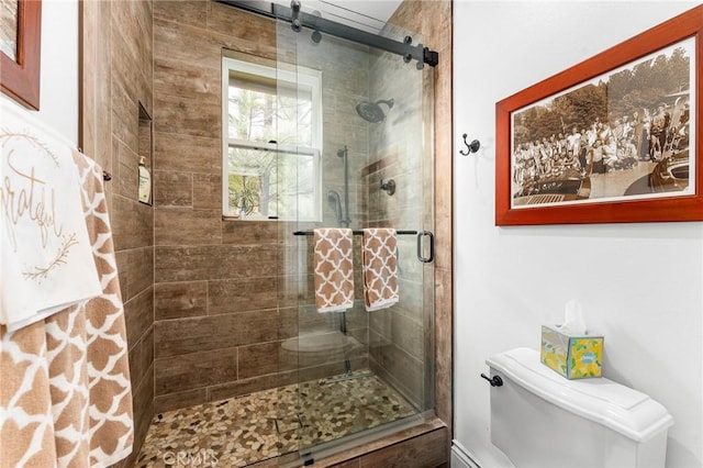 1405 Rock Ridge Dr, Lake Arrowhead, CA 92352 - bathroom featuring a shower stall and toilet
