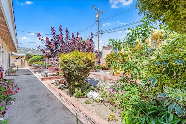 12172 Manley St, Garden Grove, CA 92845 - view of yard featuring a patio
