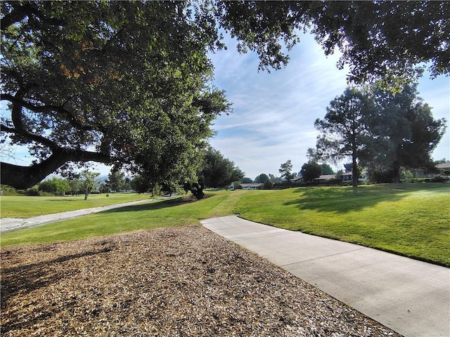 26373 Oak Highland Dr Unit E, Newhall, CA 91321 - view of community featuring a yard