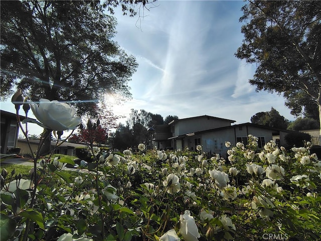 view of side of property