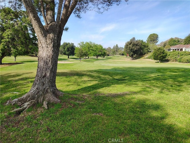 view of home's community featuring a lawn