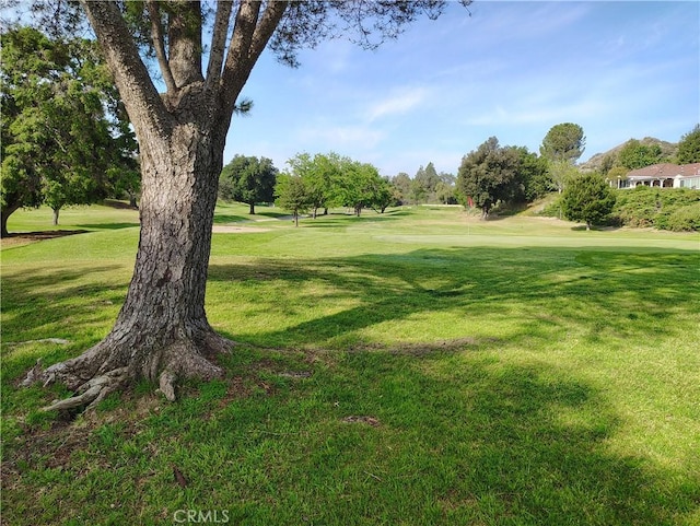 26373 Oak Highland Dr Unit E, Newhall, CA 91321 - view of community featuring a lawn