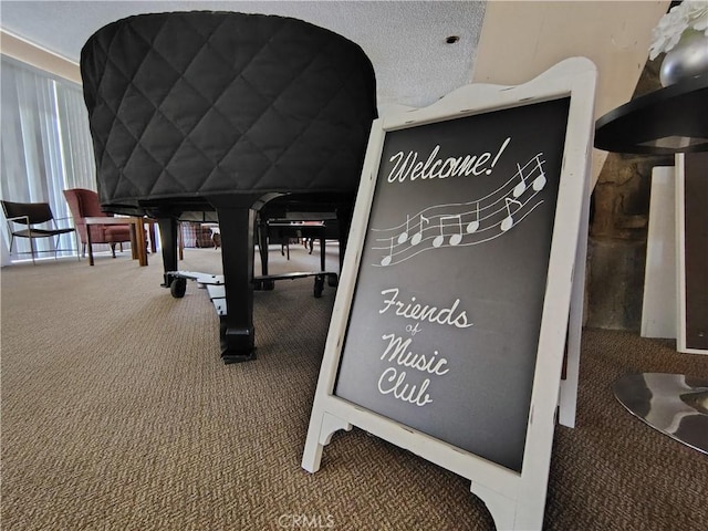26373 Oak Highland Dr Unit E, Newhall, CA 91321 - detailed view of carpet floors