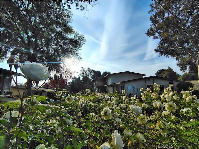 26373 Oak Highland Dr Unit E, Newhall, CA 91321 - view of yard
