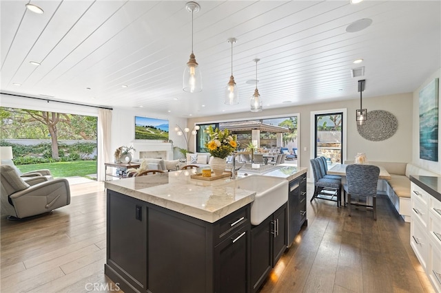 kitchen featuring open floor plan, dark wood-style floors, and healthy amount of natural light