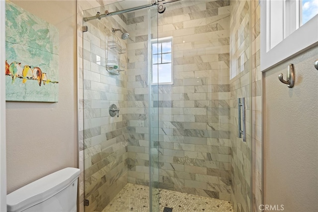 bathroom with a stall shower and toilet