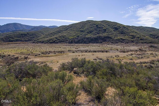 7205 Rose Valley Rd, Ojai, CA 93023 - photo 8