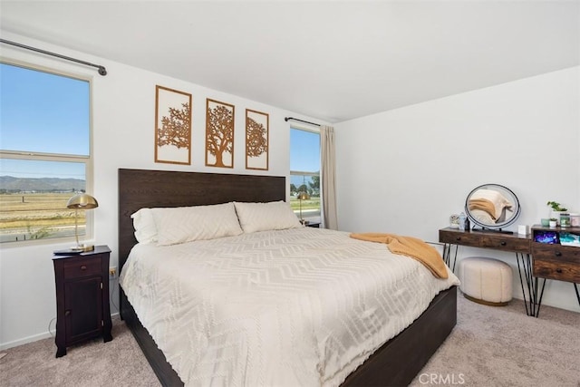 4872 Goldfinch St, Hemet, CA 92545 - view of carpeted bedroom