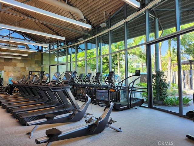gym with carpet flooring, plenty of natural light, and a high ceiling