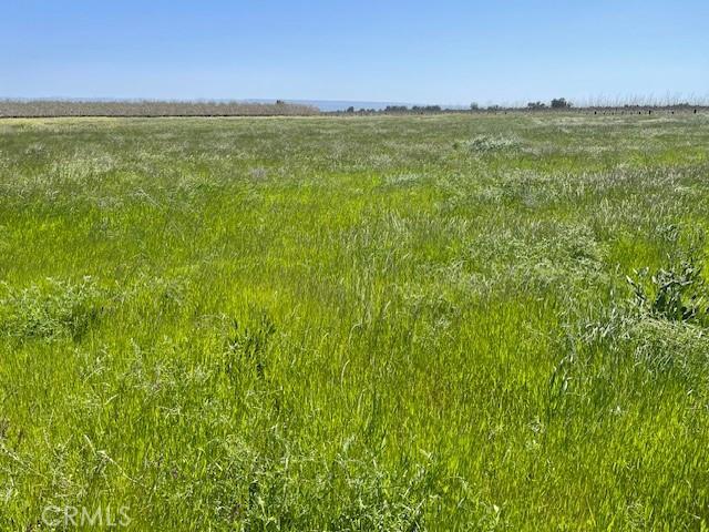 0 El Camino Ave, Gerber, CA 96035 - photo 1
