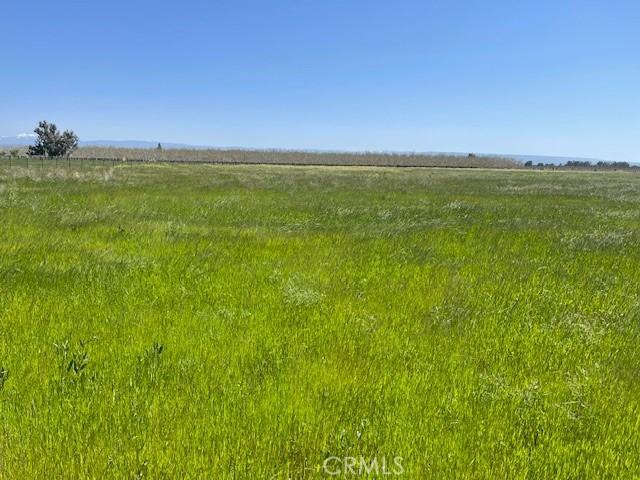 0 El Camino Ave, Gerber, CA 96035 - photo 6