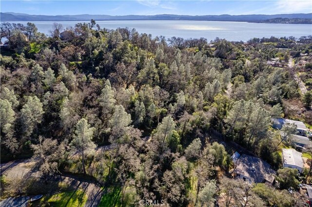 7022 Black Oak St, Nice, CA 95464 - photo 10