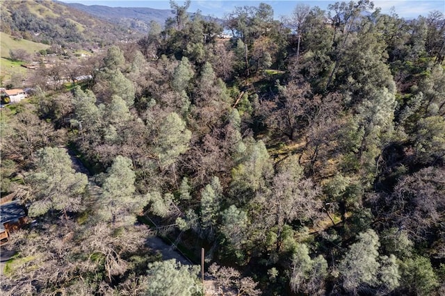 7022 Black Oak St, Nice, CA 95464 - photo 11