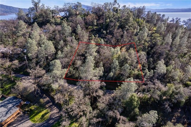 7022 Black Oak St, Nice, CA 95464 - photo 9