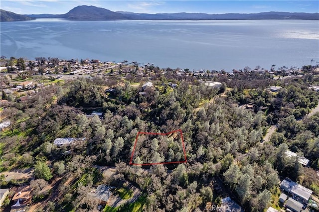 7022 Black Oak St, Nice, CA 95464 - photo 3