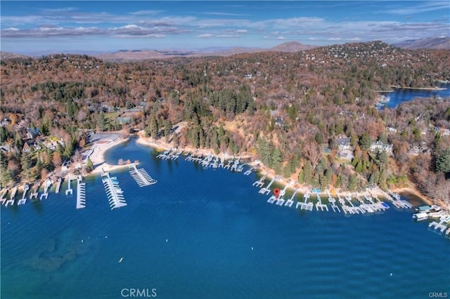 27417 Matterhorn Dr, Lake Arrowhead, CA 92352 - bird's eye view featuring a water and mountain view and a view of trees