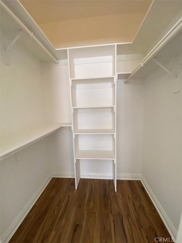 spacious closet featuring wood finished floors