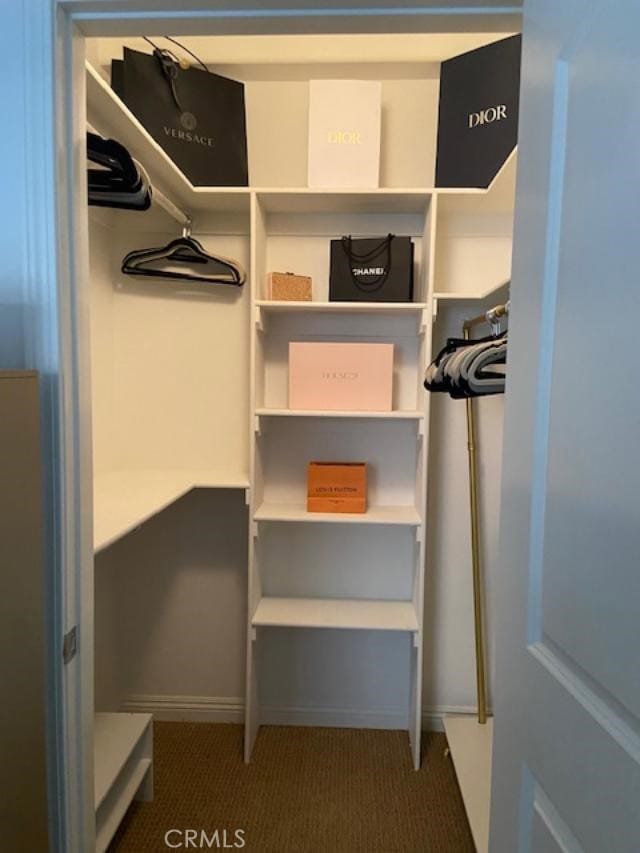 walk in closet featuring carpet