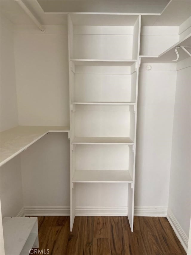 walk in closet featuring wood finished floors