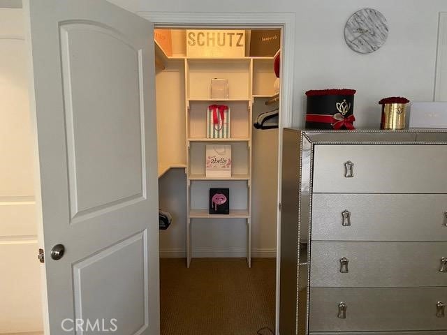 view of closet