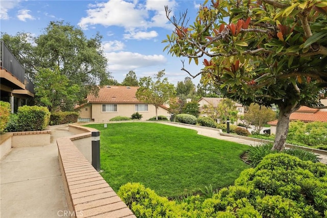 1092 Amberton Ln, Newbury Park, CA 91320 - view of green lawn