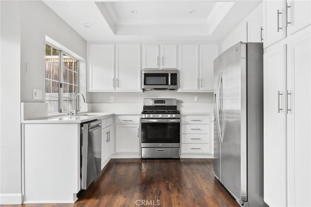 1092 Amberton Ln, Newbury Park, CA 91320 - kitchen featuring stainless steel appliances, a sink, a raised ceiling, light countertops, and dark wood-style flooring