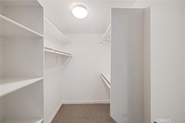 1429 Manhattan Ave, Hermosa Beach, CA 90254 - spacious closet featuring carpet flooring